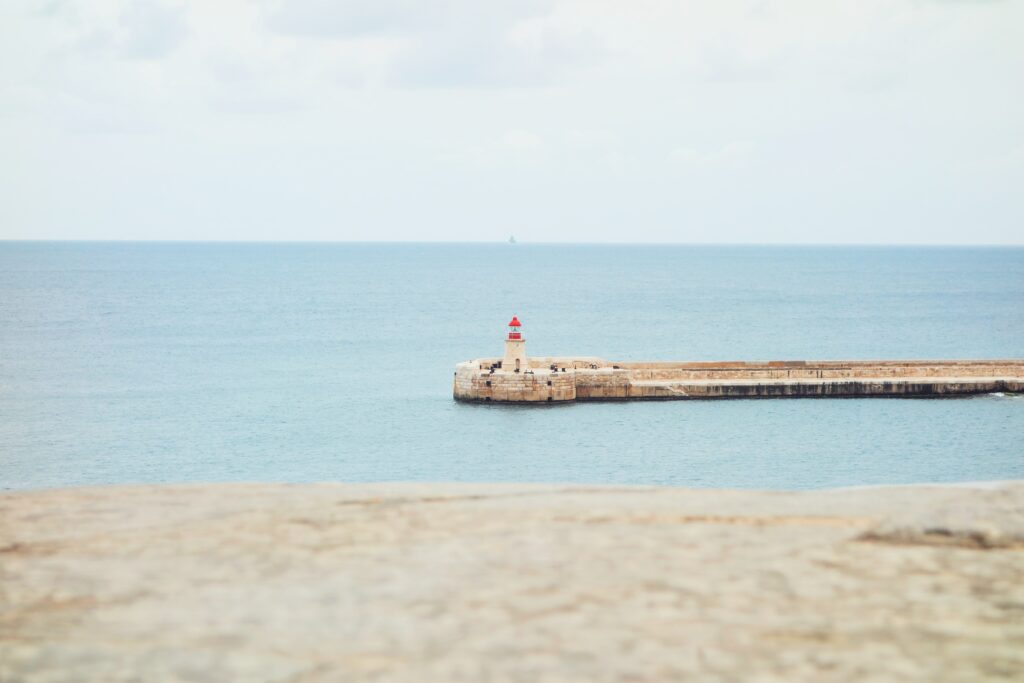 What Is The Identity Malta Vetting Process?